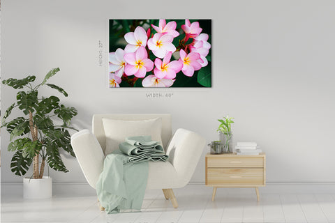 Impression sur toile - Plumeria rose, fleur exotique tropicale #E0640