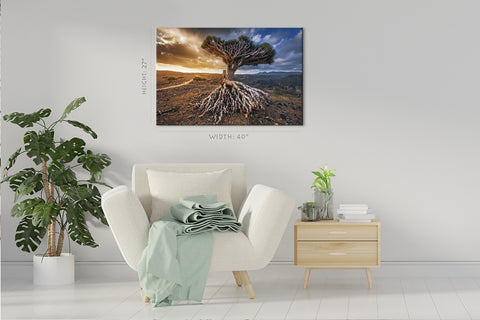 Canvas Print -  Dragon Trees At Dixam Plateau #E0959