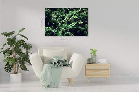 Canvas Print -  Fern Leafs #E0822