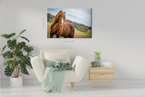 Canvas Print -  Brown Horse #E0897