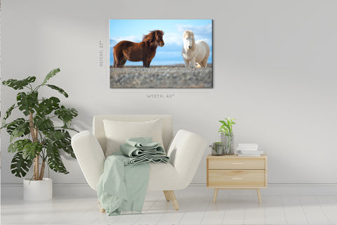 Canvas Print -  Two Icelandic Horse #E0910