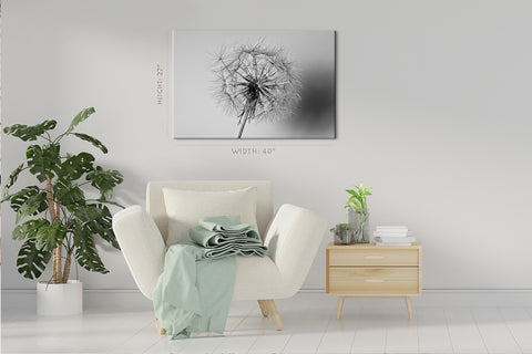 Canvas Print -  Dandelion Flower #E0814