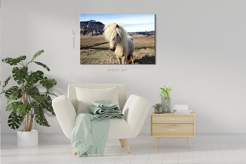 Canvas Print -  Icelandic Horse #E0893