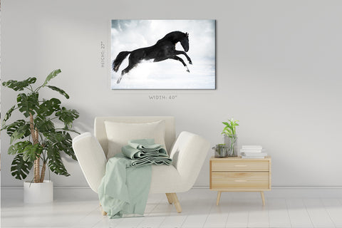 Canvas Print -  Black Horse In Winter #E0955