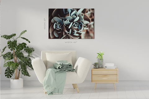 Canvas Print -  Green Succulent Plant #E0717