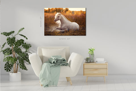 Canvas Print -  White Welsh Pony In The Blooming Field #E0919