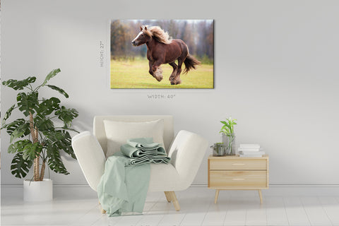 Canvas Print -  Beautiful Noble Horse #E1013