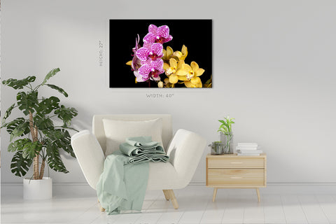 Impression sur toile - Orchidées multicolores #E0682