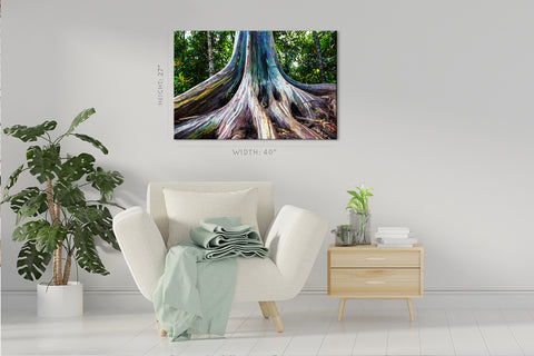 Canvas Print -  Rainbow Eucalyptus Tree In Maui Island, Hawaii #E0971