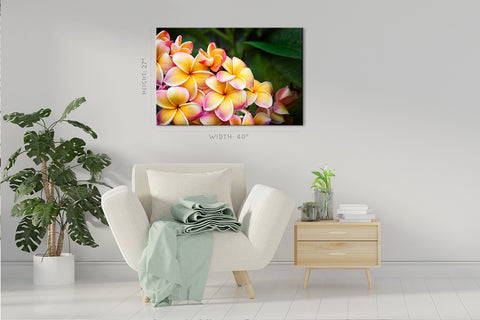 Impression sur toile - Fleurs de frangipanier colorées #E0699