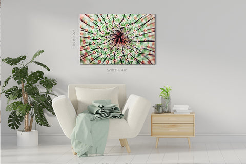 Impression sur toile - Cactus épineux #E0637