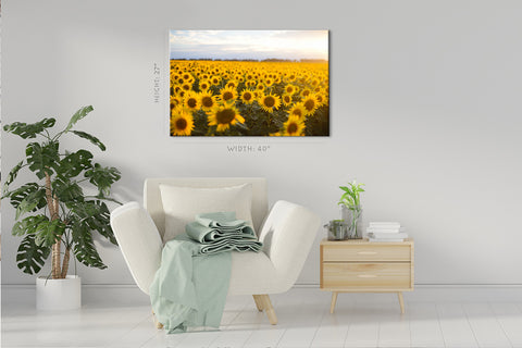 Canvas Print -  Golden Field Of Sunflowers #E0724