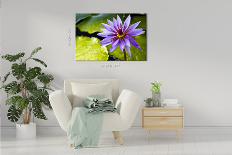 Impression sur toile - Lotus violet thaïlandais sur l'étang #E0660