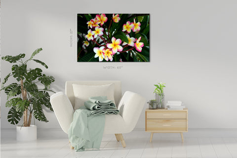 Impression sur toile - Fleurs de Plumeria dans le parc #E0708