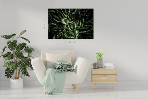 Canvas Print -  Tropical Green Leafs #E0821