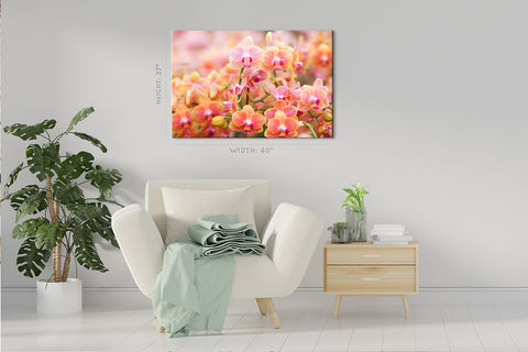 Canvas Print -  Sunlight At The Orchid #E0652