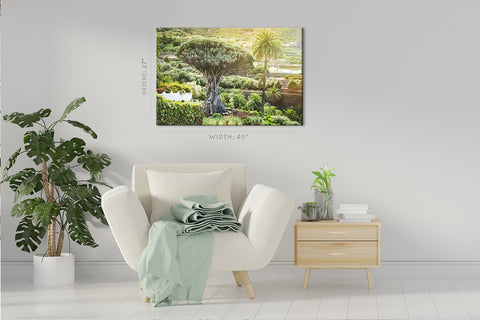 Canvas Print -  Ancient Dragon Tree #E0961