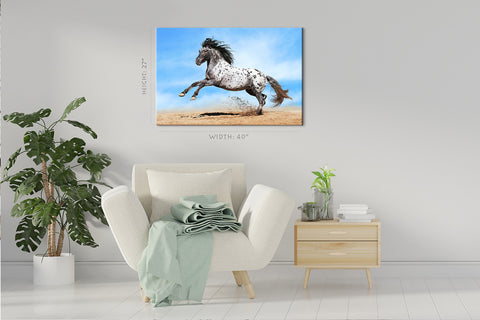 Impression sur toile - Cheval Appaloosa #E0903