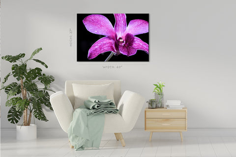 Canvas Print -  Pink Orchid #E0663