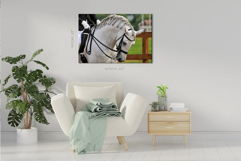 Impression sur toile - Cheval andalou Pura Raza Espanola #E0901