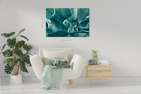 Canvas Print -  Big Foliage In Rainforest #E0645