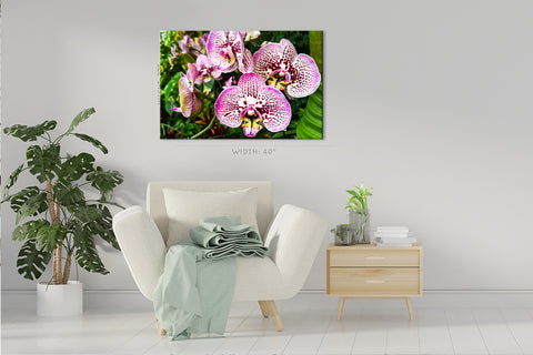 Impression sur toile - Orchidée blanche et violette #E0678