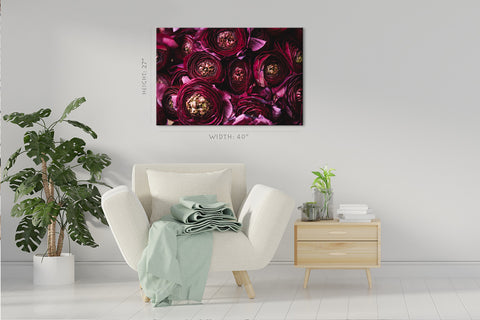 Canvas Print -  Burgundy Ranunculus Flowers #E0833