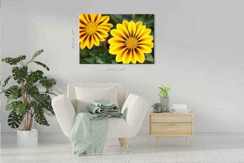 Impression sur toile - Fleur tropicale Gazania #E0696