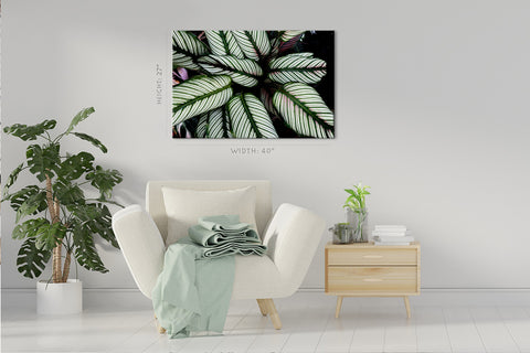 Canvas Print -  Striped Tropical Leafs #E0634