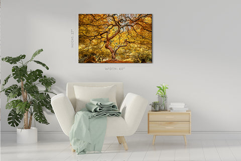 Canvas Print -  Gorgeous Japanese Maple Tree #E1009