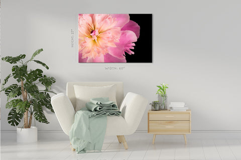 Impression sur toile - Pivoine rose #E0688