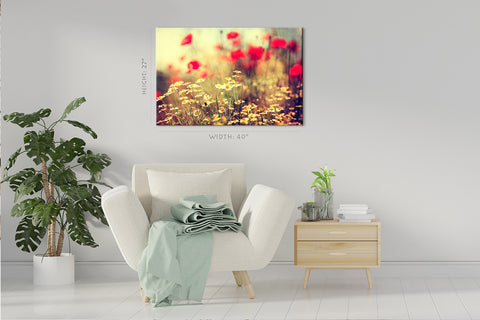 Canvas Print -  Daises At Morning #E0844