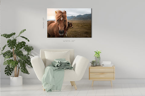 Impression sur toile - Cheval islandais dans le champ #E0899