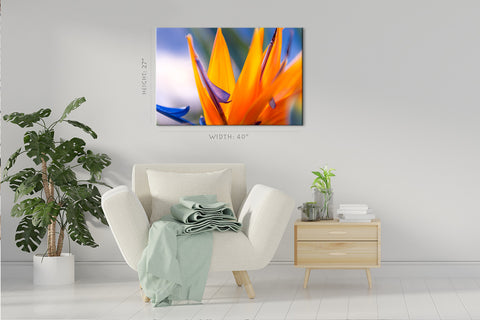 Impression sur toile - Fleur d'oiseau de paradis au coucher du soleil #E0665