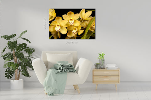 Impression sur toile - Orchidées jaunes #E0684