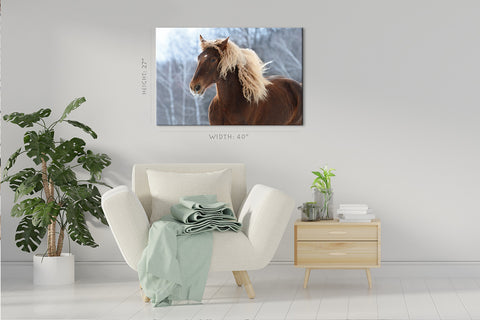 Canvas Print -  Brown Soviet Horse #E0905