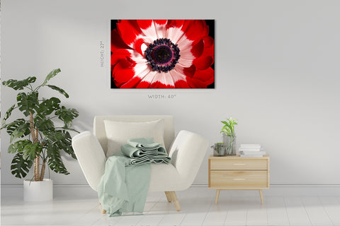 Canvas Print -  Red And White Anemone #E0694