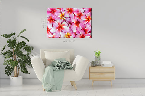 Impression sur toile - Fleurs de frangipanier #E0672