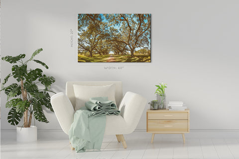 Impression sur toile - Vue panoramique de la plantation d'Oak Alley, Louisiane #E0960