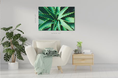 Canvas Print -  Green Aloe #E0703