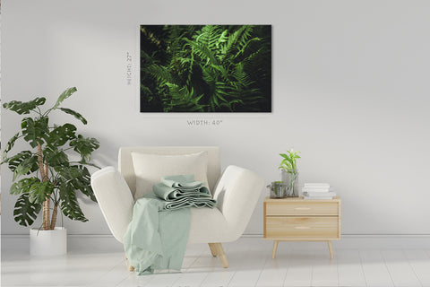 Canvas Print -  Green Fern Leafs #E0817