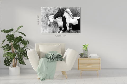 Canvas Print -  Two Horses In Forest #E0913