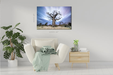 Canvas Print -  Baobab Tree At Dusk #E0996