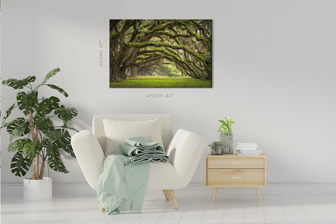 Impression sur toile - Oaks Avenue Charleston #E0958