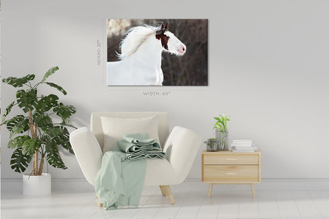 Canvas Print -  Portrait Of White Horse #E1016