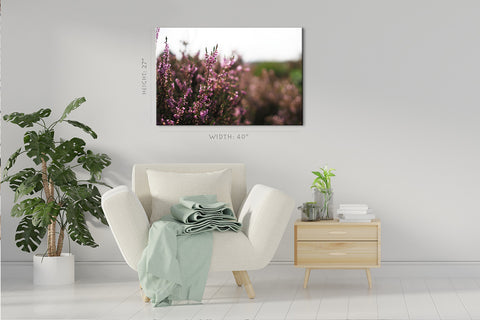 Impression sur toile - Lavande dans un parc naturel, Pays-Bas #E0803