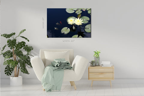 Canvas Print -  Water Lilies #E0827