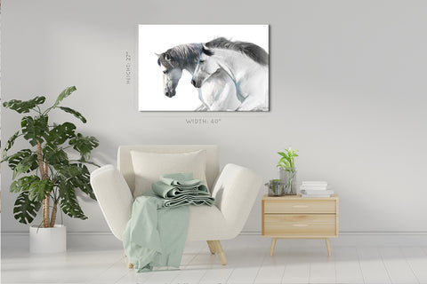 Impression sur toile - Portrait de chevaux blancs #E0896