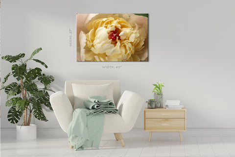 Impression sur toile - Pivoine blanche #E0697