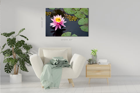 Canvas Print -  Pink Water Lily #E0836